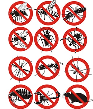 obtener un precio de una empresa de exterminio que puede matar las abejas de su propiedad residente o comercial en Ohio y ayudarle a prevenir futuras infestaciones